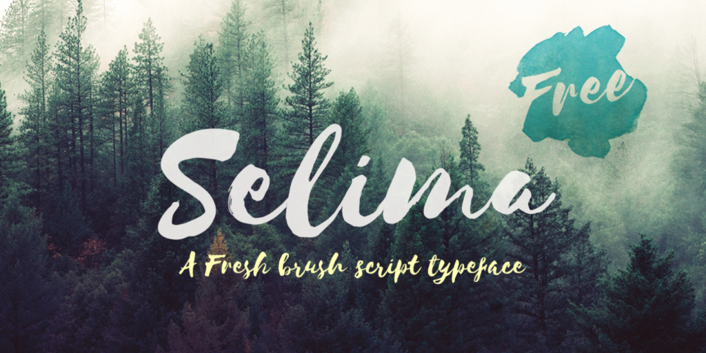 15 Best Free Calligraphy Fonts